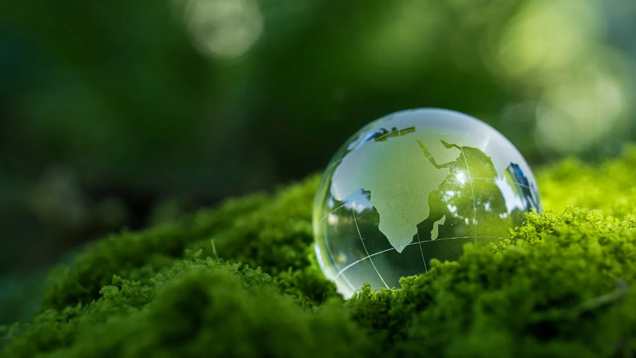 Sustainability consulting session